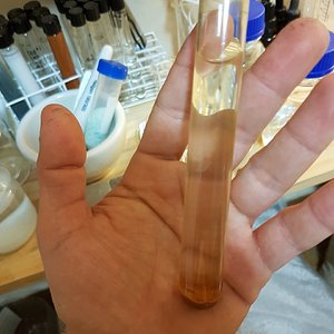 WhatsApp Image 2019-09-05 at 10.36.59(2).jpeg