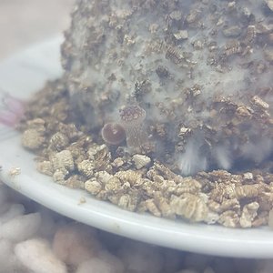 WhatsApp Image 2019-09-30 at 11.53.55.jpeg