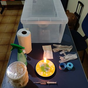 WhatsApp Image 2019-10-03 at 08.15.22 (1).jpeg