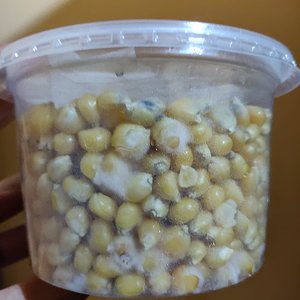 WhatsApp Image 2019-10-10 at 10.14.09.jpeg