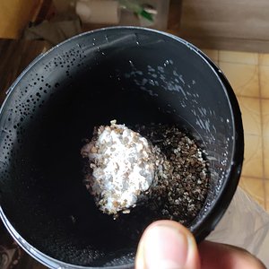 WhatsApp Image 2019-10-25 at 08.13.43.jpeg