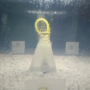 WhatsApp Image 2019-11-13 at 19.19.15.jpeg