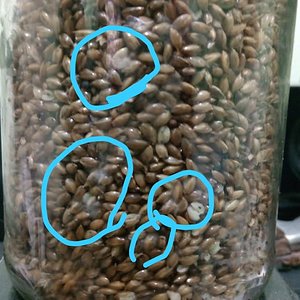 WhatsApp Image 2020-01-08 at 12.21.46.jpeg