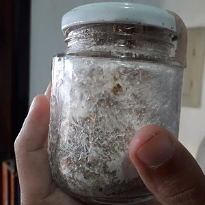 WhatsApp Image 2020-04-10 at 17.12.52 (3).jpeg