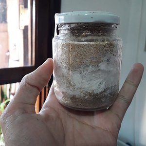 WhatsApp Image 2020-04-10 at 17.12.53 (1).jpeg