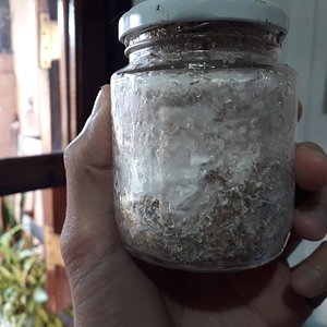 WhatsApp Image 2020-04-10 at 17.12.53 (2).jpeg