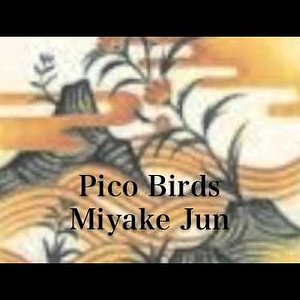 Pico Birds - Jun Miyake