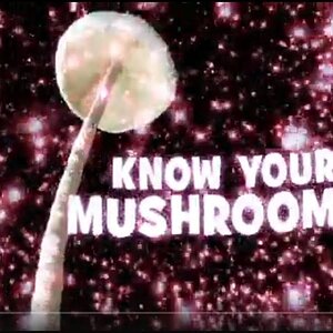 know your MUSHROOMS 2008 festival DOCUMENTARY