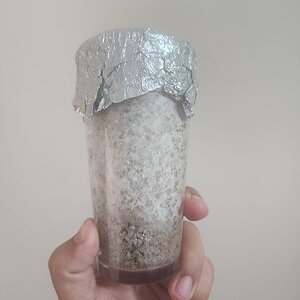 04 - Semana 03.jpg