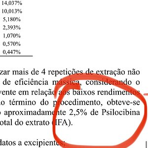 Mídia 'IMG_20250621_160634.jpg' na categoria 'Fotos aleatórias'