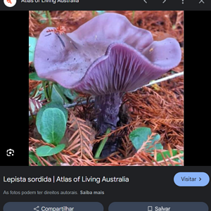 1751729404782.png