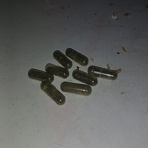 Mídia 'as capsulas.jpeg' na categoria 'Fotos aleatórias'