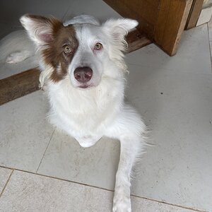 Mídia '1773239933111.jpeg' na categoria 'Fotos aleatórias'