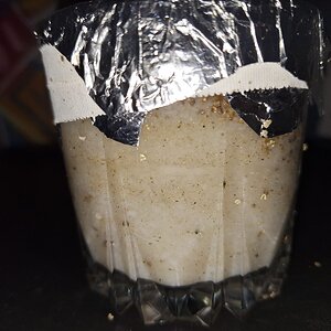 WhatsApp Image 2026-04-07 at 18.49.09.jpeg