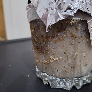 WhatsApp Image 2026-04-07 at 18.49.07.jpeg