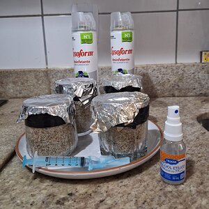 WhatsApp Image 2026-04-15 at 21.47.10.jpeg