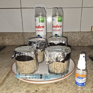 WhatsApp Image 2026-04-15 at 21.47.09.jpeg