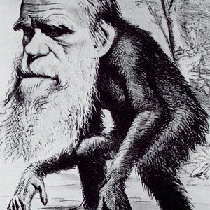 Darwin_caricatura.jpg