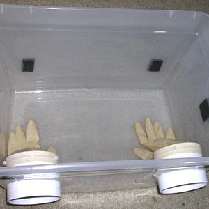 glove box3.jpg