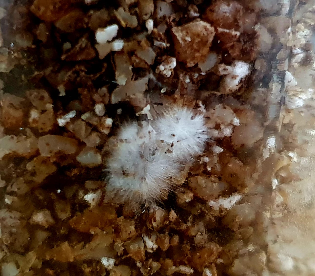 WhatsApp Image 2024-08-04 at 15.20.34.jpeg