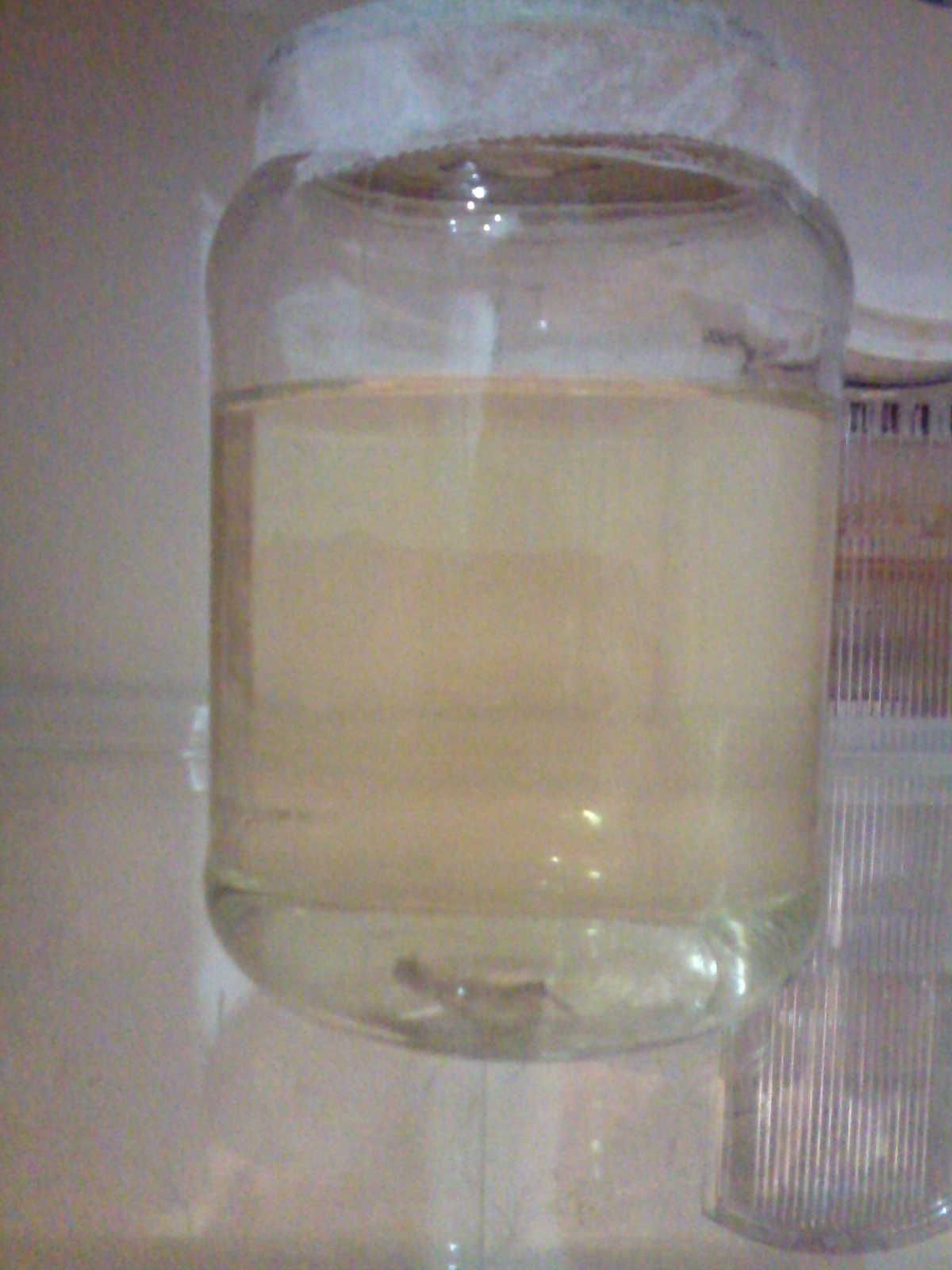 01a - na incubadora.jpg