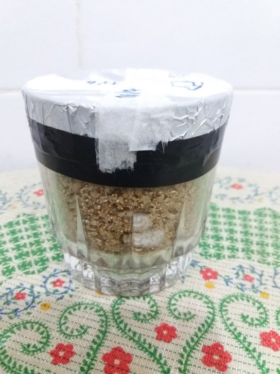 01e - copo 5 - micélio visível em 4 dias após reinoculação dia 16-06.jpg