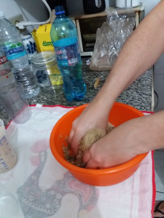 02b - misturando água com vermiculita.jpg