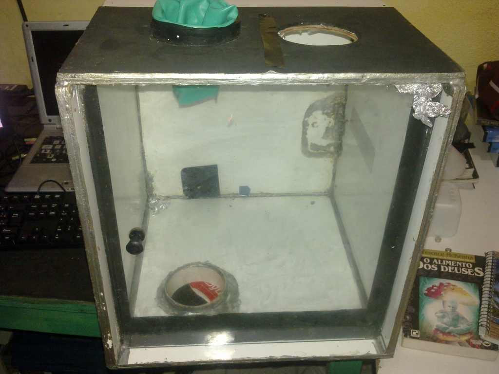 05062011487.jpg