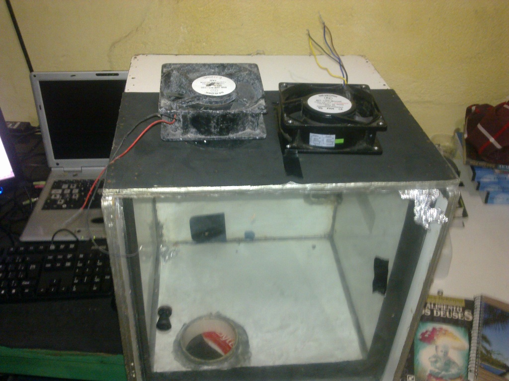 05062011489.jpg