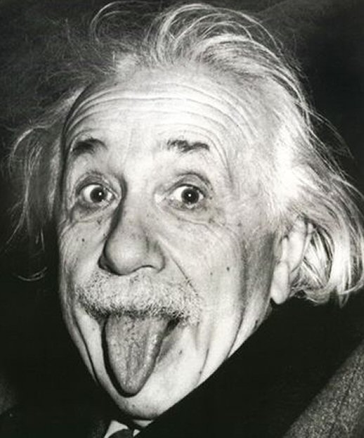 061209_einstein-lingua.jpg