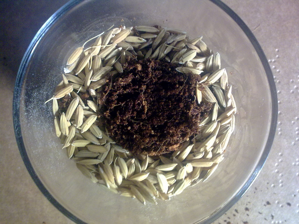 08062011040.jpg