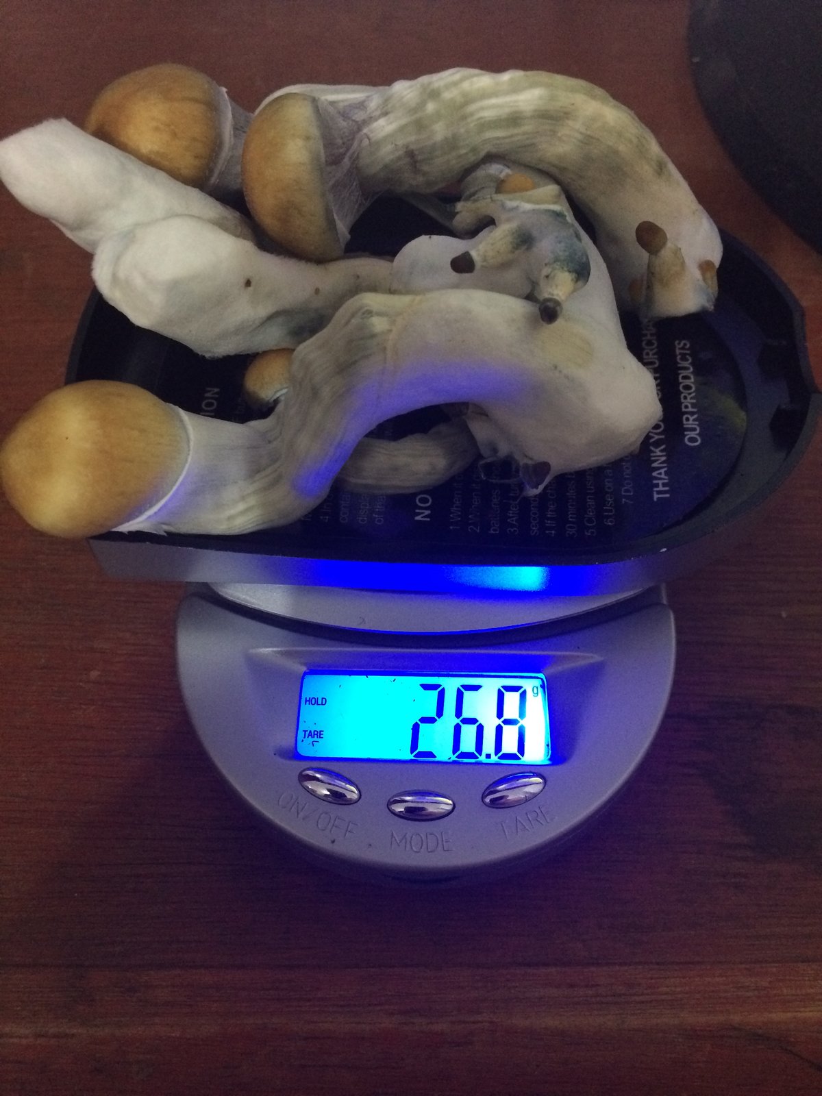 09b - colheita 1 pesagem 2.jpg