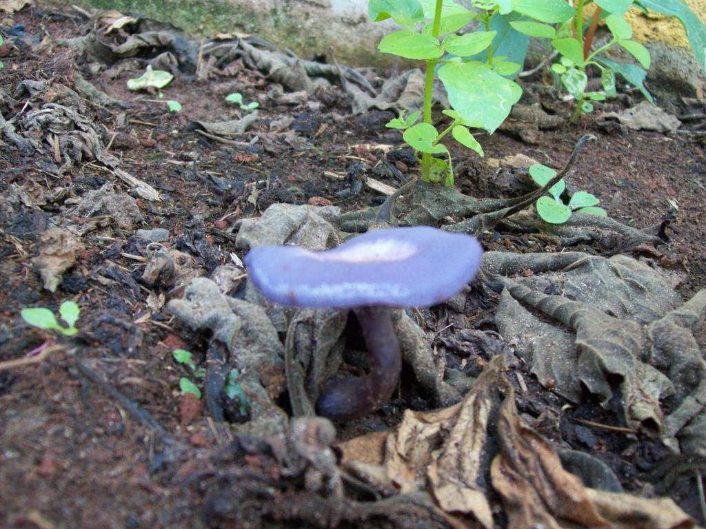 100_0529.JPG