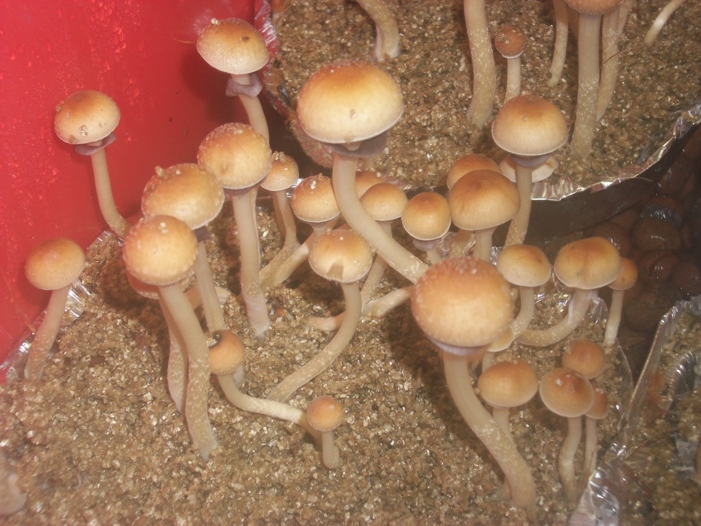 100_0891.JPG