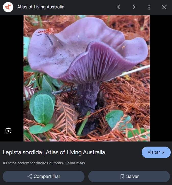 1751729404782.png