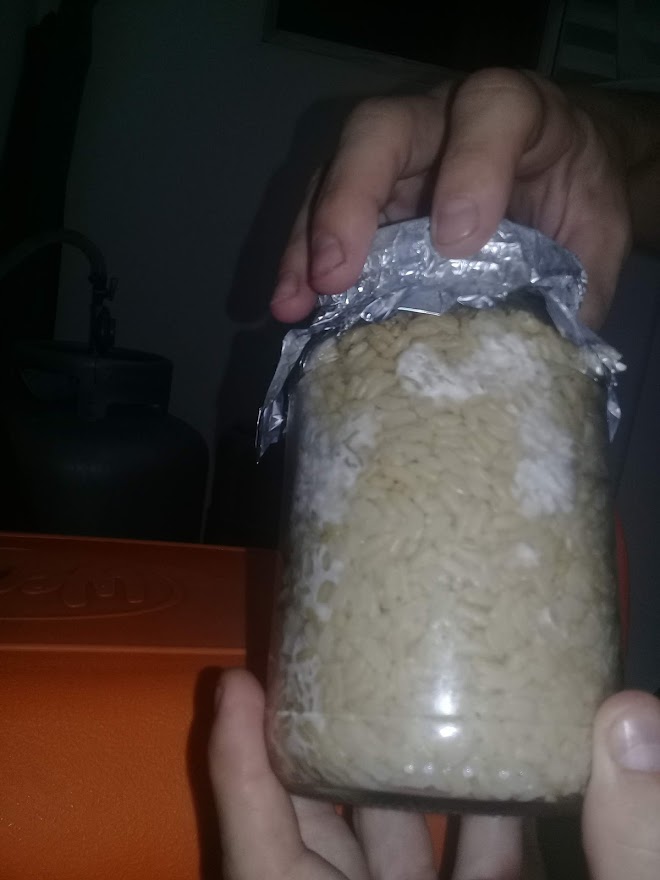 2° Cultivo! - Arroz integral + multi esporos de MDK