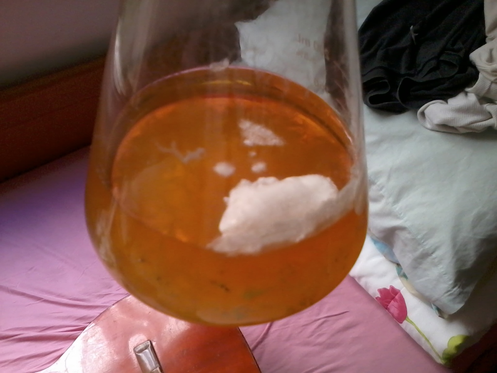 2013-01-03 15.31.59.jpg