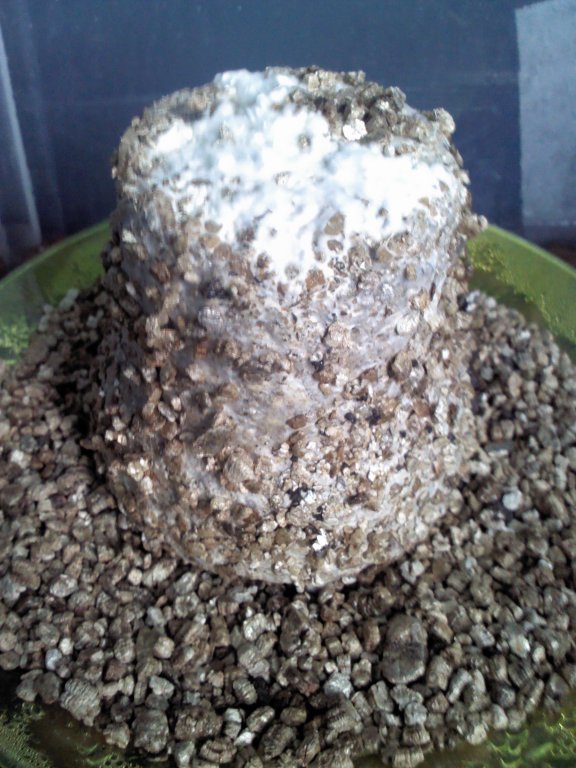 2013-04-04 11.48.04.jpg