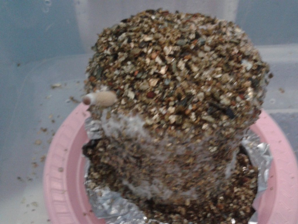 2013-05-03 08.35.30.jpg