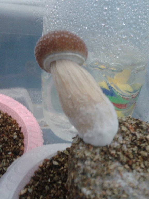 2013-05-18 11.22.39.jpg