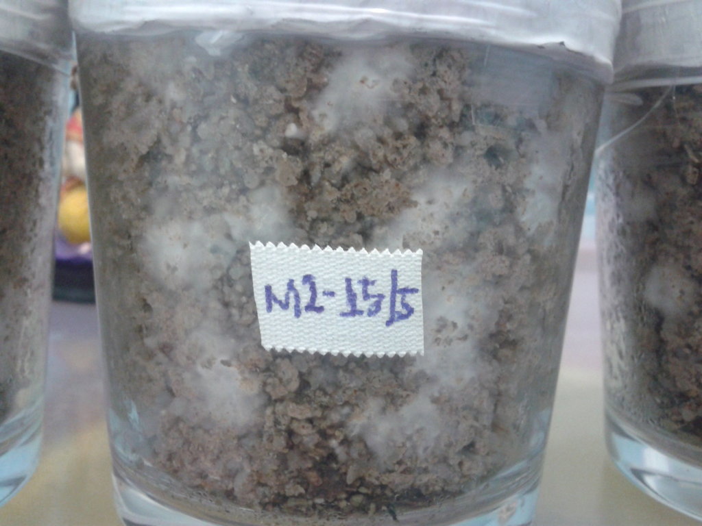 2013-05-22 21.44.09.jpg