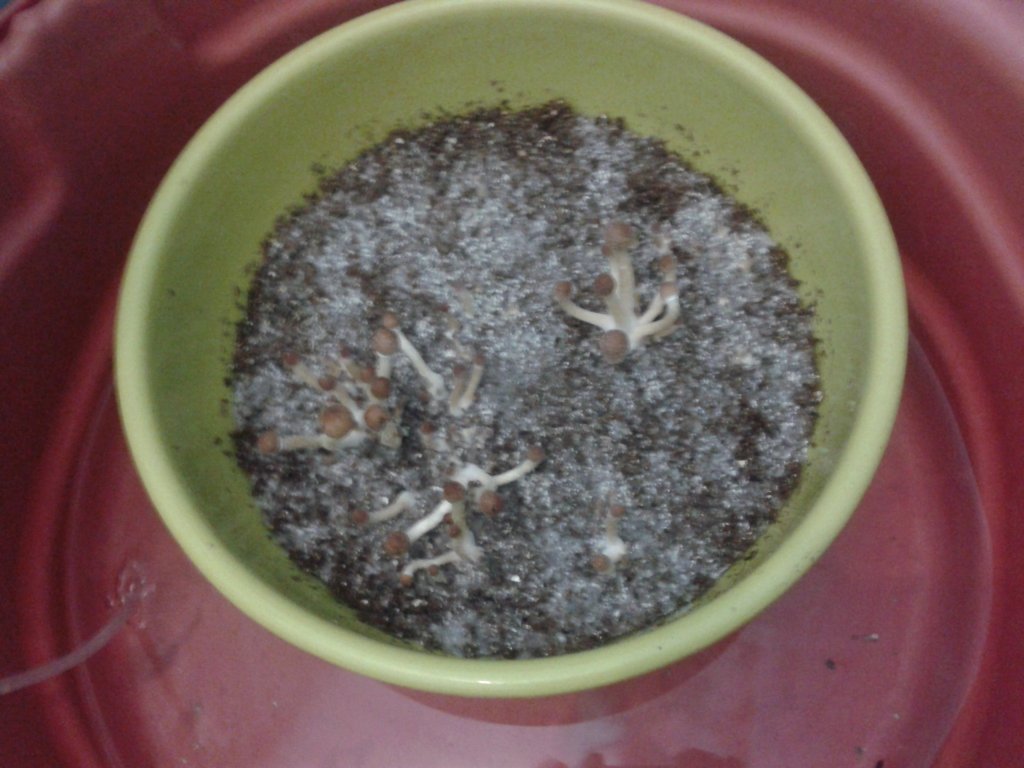 2013-05-24 09.16.42.jpg