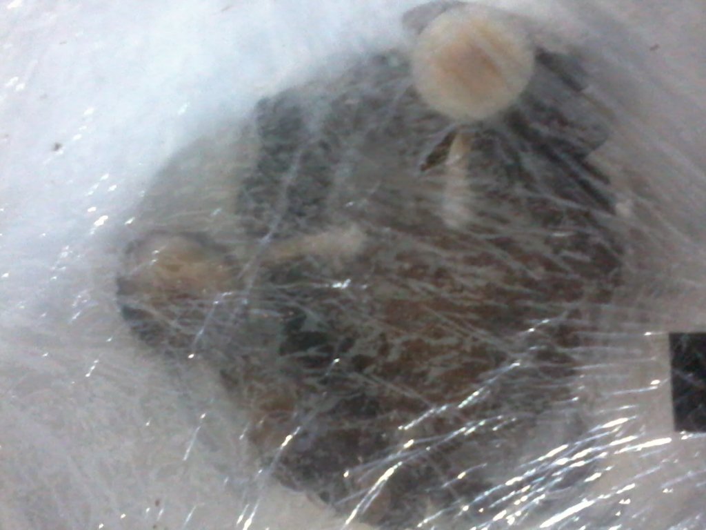 2013-07-04 21.00.56.jpg