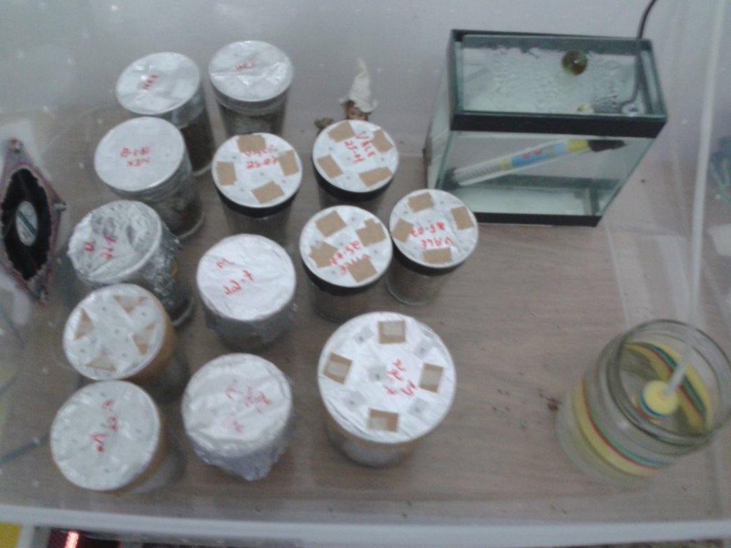 2013-08-03 10.36.18.jpg