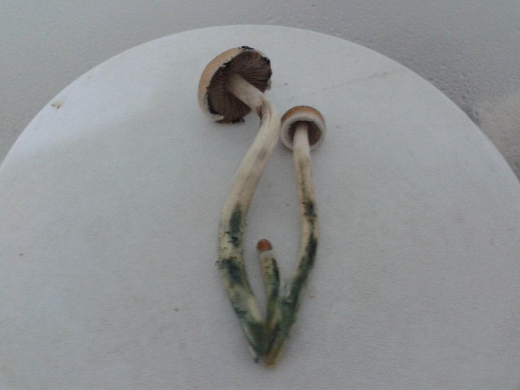 2013-08-13 14.24.41.jpg
