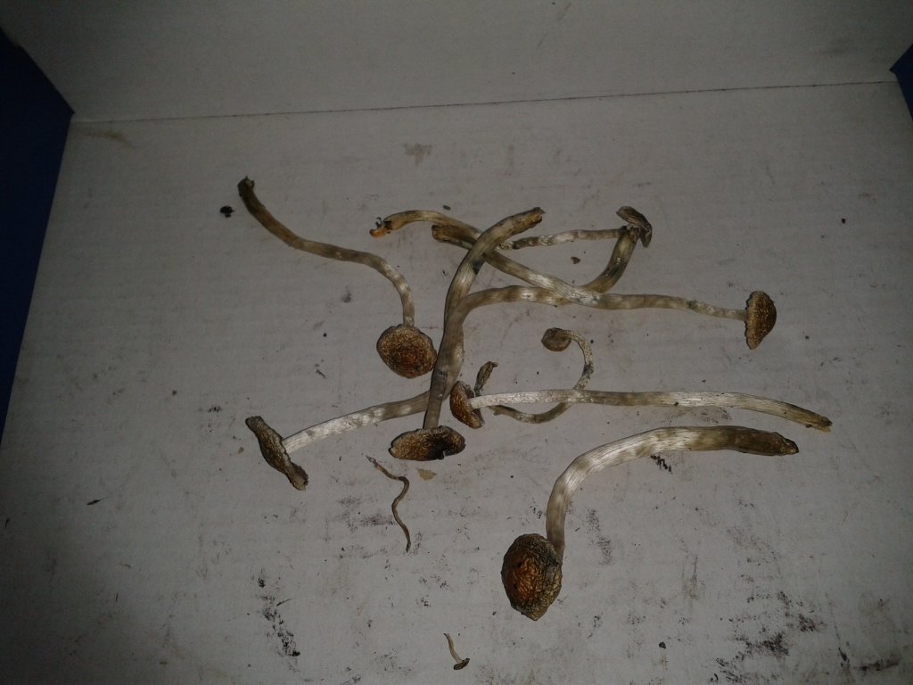 2013-08-15 10.42.36.jpg