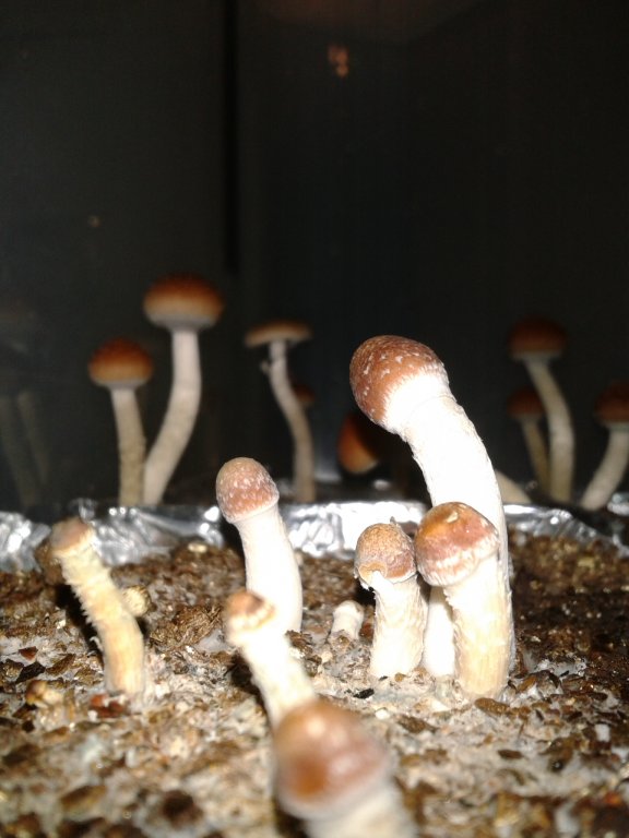 2013-08-15 17.57.33.jpg