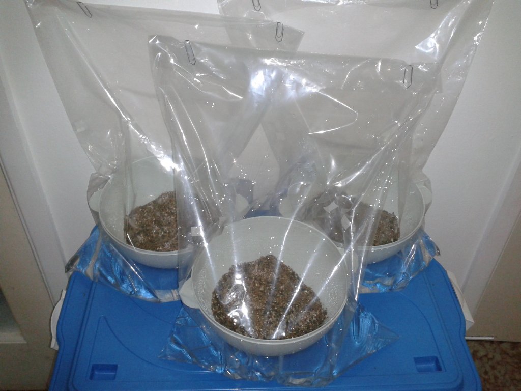 2013-08-15 18.06.27.jpg