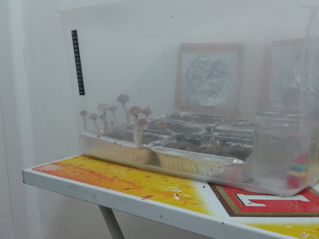 2013-08-15 21.20.20.jpg