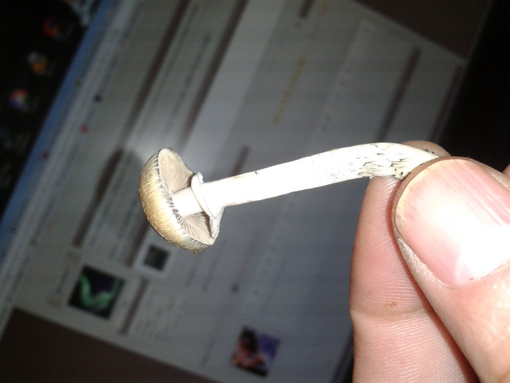 2013-08-17 15.24.47.jpg